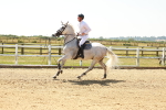 SBM_001734