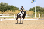 SBM_009254
