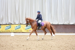 SBM_004667