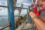Barbary Macaques on the Rock of Gibraltar