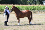 WJ6_4830