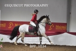 BPP_1034