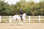 SBM_003580