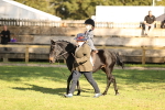 SBM_29378