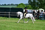 SBM_13894