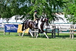 SBM_19487