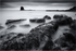 Seaweed - Saltwick Bay - Whitby