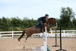 Class 25a Pony Fox & 1.10 Open portfolio