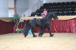 SBM_04991