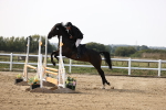 SBM_003274