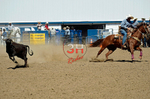 3HRodeo8-11-25_PRCASteer_06556_