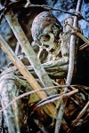 Body in Basket - Papua New Guinea