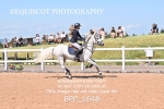 BPP_1648