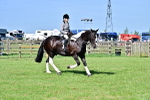 SBM_12132