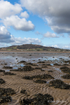 A Portrait of Strangford Lough at Low Tide