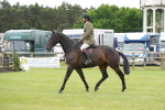 SBM_12533