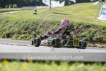 Hillclimb_08-08-2015_KART-59