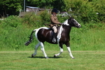 3E7A8640