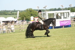 SBM_09560