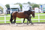 SBM_02432
