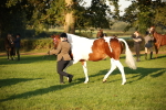 SBM_56861