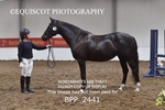 BPP_2441