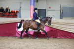 Class H - IH Competition - Riding Club champ portfolio
