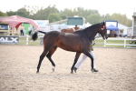 SBM_07113