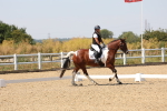 SBM_005622