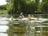 Kids at Play