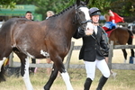 WJ6_8074