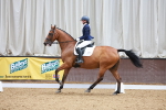 SBM_005347