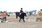 SBM_13406