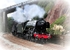 The Flying Scotsman passing though Teignmouth