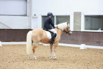 SBM_011412