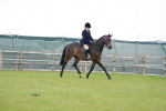 SBM_15951