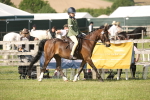 SBM_09745