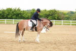 SBM_006000