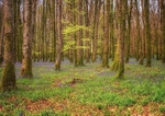 Sligo portfolio