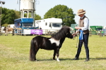 SBM_01933