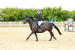 SBM_008008