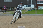 Sunday 19th - Huish Ring portfolio