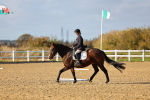 SBM_002691