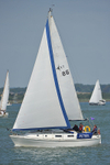 140621 KT86 PETREL  ME4_6460 368
