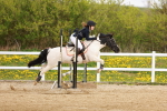 SBM_003973