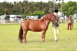 SBM_00489