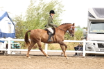SBM_00708