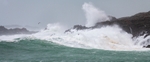 Storm Birds of Dooey