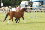 SBM_00490