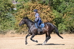 WJ6_6844